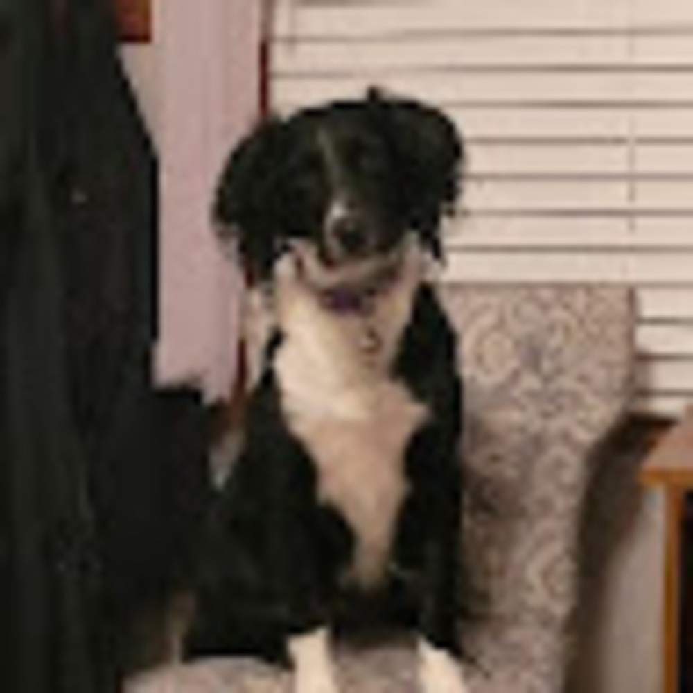 Meet your Posher, Jordan